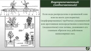 Онлайн урок на тему "Полив на участке"