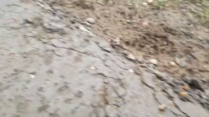 Бетон после морозов.
