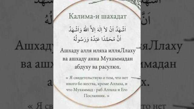 Как принимать Ислам? смотреть онлайн