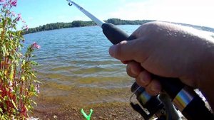 С Такой Плотвой И Лещ Не Нужен. Ловля Крупной Плотвы На Яузском Водохранилище (Пудыши)