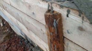 Дом из арболита начало стройки