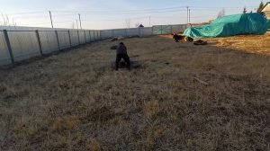 Самир. Тренировка с покрышкой