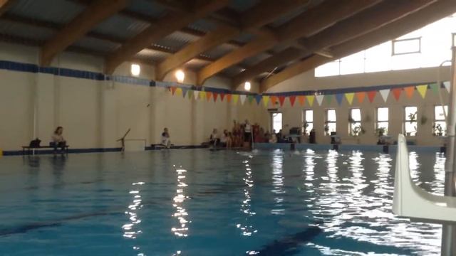 Синхронное плавание? смотреть онлайн