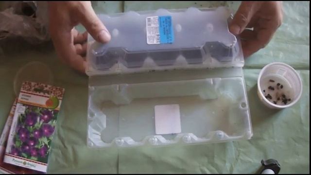 ипомея красивая лиана смотреть онлайн