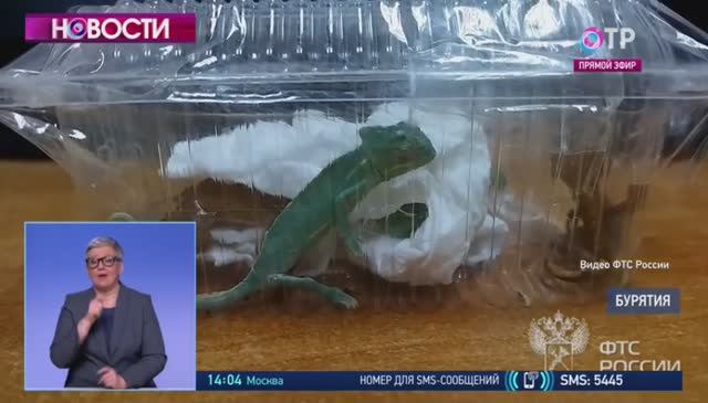 Телеканал «ОТР», программа «Новости», 14.12.2022