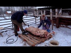КАК ЛЮДИ ЖИВУТ НА ХУТОРЕ. ЧТО ВЫРАЩИВАЮТ И ГОТОВЯТ. ЖИЗНЬ ПРОСТЫХ ЛЮДЕЙ В ДЕРЕВНЕ