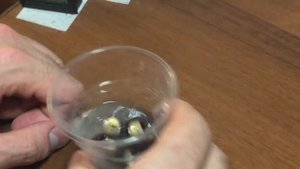 Как вырастить ЛОНГАН!!!(ПО ВКУСУ ПРИТОРНЫЙ ЛИЧИ) БЫСТРО ПЕРЕСПЕВАЕТ!!!