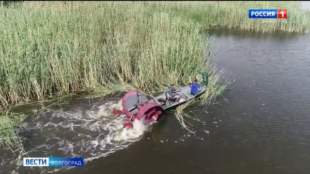 Михайловские пожарные создали лодку-косилку для борьбы с камышом смотреть онлайн