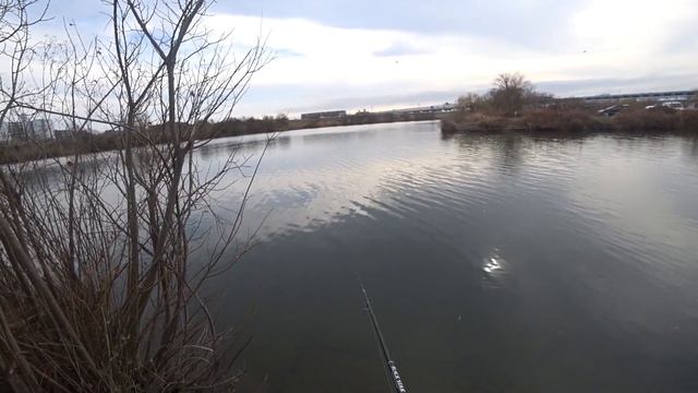 Обзор спиннинга XESTA BLACK STAR 2-nd GENERATION S610-S. Буря эмоций и крупные рыбы! смотреть онлайн