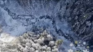 Любовь на горном склоне.❤