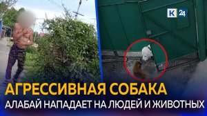 Большой пес и его хозяин не дают спокойно жить всей станице