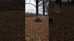 Покатушки на детском квадроцикле