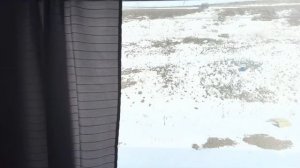 Поезд №044M по маршруту Москва-Имеретинский Курорт/Казанский вокзал/CВ в поезде/Вагон-ресторан/Адле