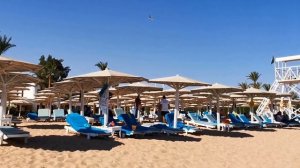 Египет 2020.  Novotel Beach 5 Обзор отеля Шарм Эль Шейх