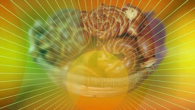 Фестиваль хлеба «Солнечный колобок», город Чита смотреть онлайн