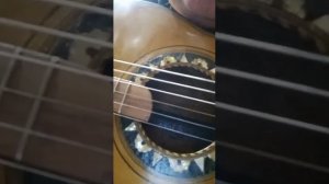 Гитара Циммермана Antique Russian guitar 3/4,7 strings, Russia,19th century, Zimmermann