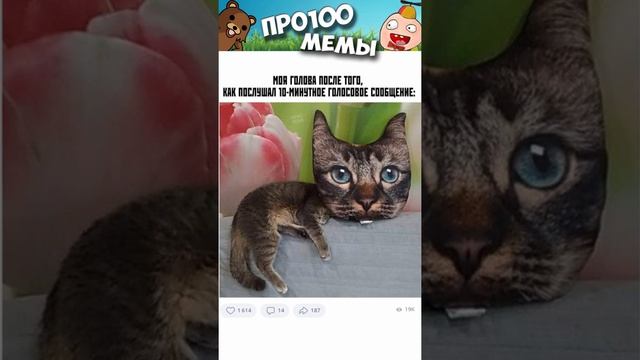Мемы на 100 лет