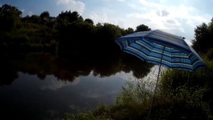 Рыбалка на Упе в изнуряющую жару в зарослях двухметровой крапивы.