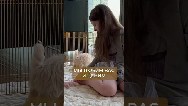 Сегодня такой пронзительный и тёплый праздник! День наших любимых мам!