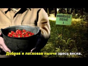 В каске земляника