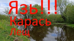 Язь!!! Карась. Лещ. 02.05.2024. река Гжелка. Каналы на Раменской пойме.