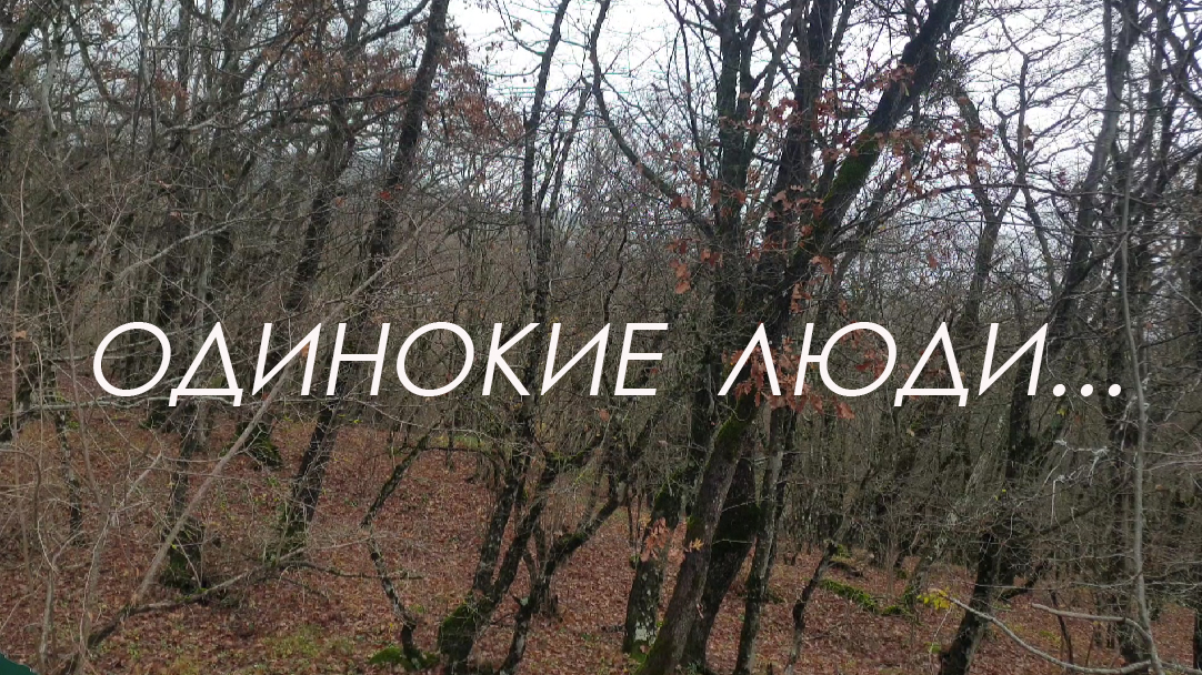 «Одинокие люди». Стихи Владимира Терёхина, мелодия Николая Носкова смотреть онлайн