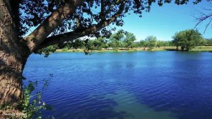 Introduction HUBSAN ACE Pro