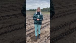 'От черенка до голого корня', Ирина Любченко