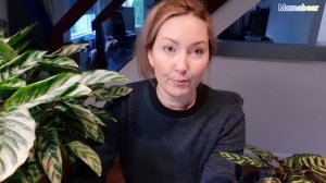 ?Как КУПИТЬ Черепаху? Черепаха не ест , что делать? ? Ответы на Вопросы?