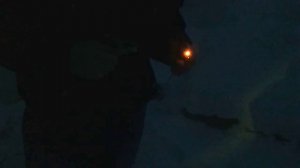 пилки для ручного лобзика "лампочка"(2)