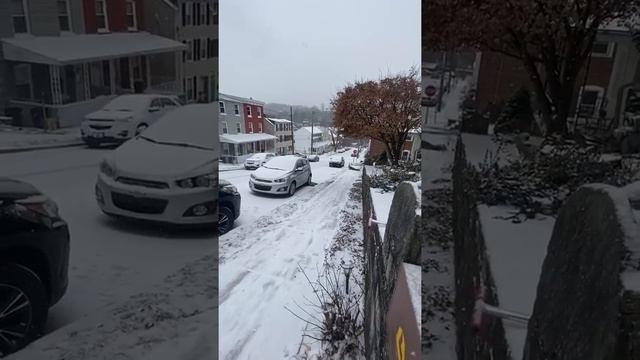 Kids sledding in West Conshohocken