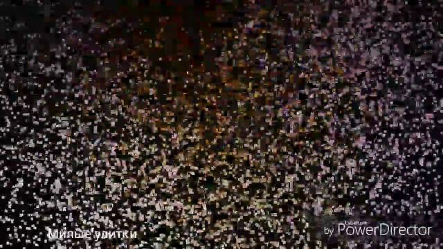 Рост улиток ахатина ахатина тигр смотреть онлайн