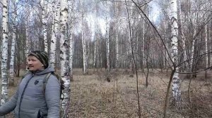 Где и как собирать чагу
