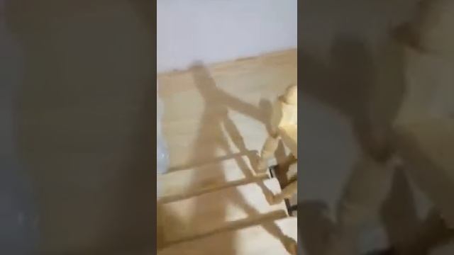 Лестницы Уфа Лебяжий всенаверх #лестницыотандреяиалексея