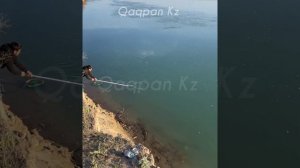 ІЛЕ ӨЗЕНІ | АҚМАРҚА (белый амур) балық аулау 🎣🎣🎣 2023