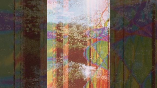 Анархический Рай. Koshkin смотреть онлайн