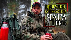 Чага гриб. Поход в лес.