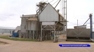 В регионе подходит к концу уборка зерновых и зернобобовых культур: убрано почти 99% площадей