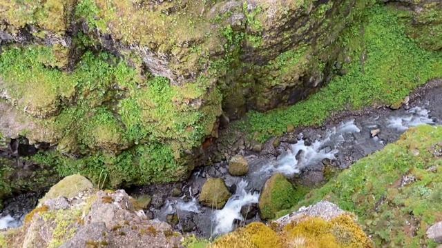 Исландия. Пеший подъём на водопад Глимер (Glymur) смотреть онлайн