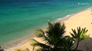 Релакс. Доминиканская Республика.