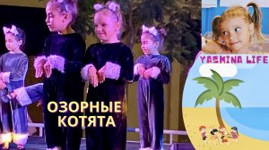Выступление с танцем Ясмины Озорной Котёнок. Детское видео. Танцы дети. Истории для детей.