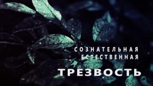 Что такое Трезвость?