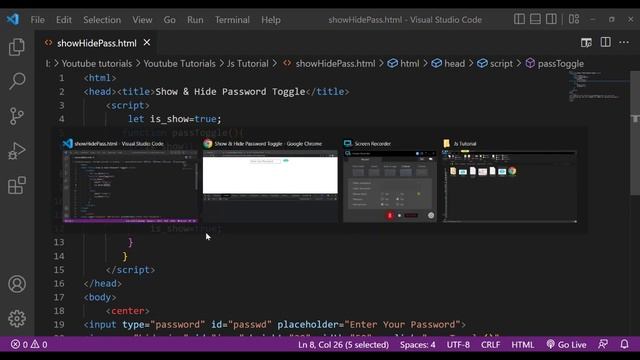 Show/Hide Password Toggle using HTML And JavaScript|Programmersbhava|Advance JavaScript|JS Project