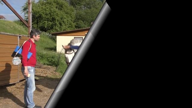 Я люблю свою лошадку смотреть онлайн