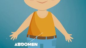 Las partes del cuerpo humano para niños | Vídeos educativos para niños