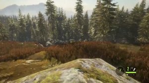 TheHunter Call of the Wild ps4 вечерняя охота!