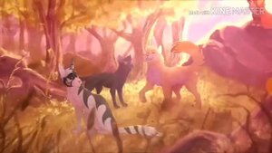 Коты воители Ежевика и Белка клип ,,Детство,,.