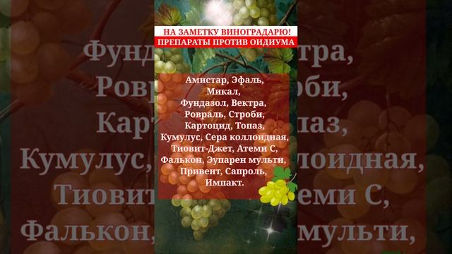 фунгициды против оидиума
