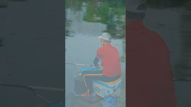 【鄧剛釣魚】挑戰漳州寨後水庫，200元釣4小時，老闆還是太年輕