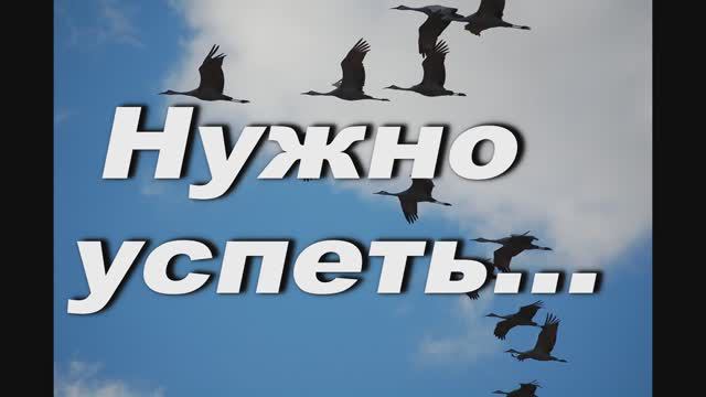 НУЖНО УСПЕТЬ. СЛ. И МУЗ. АНАТОЛИЯ КАШКИ